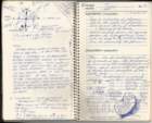 samizumatsuki_1984_chicago15_small.jpg